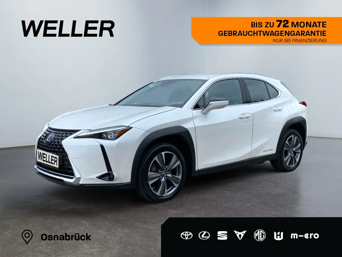 UX 300e *Luxury*Komfort-Plus*Executive Paket*