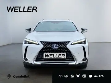 UX 300e *Luxury*Komfort-Plus*Executive Paket*
