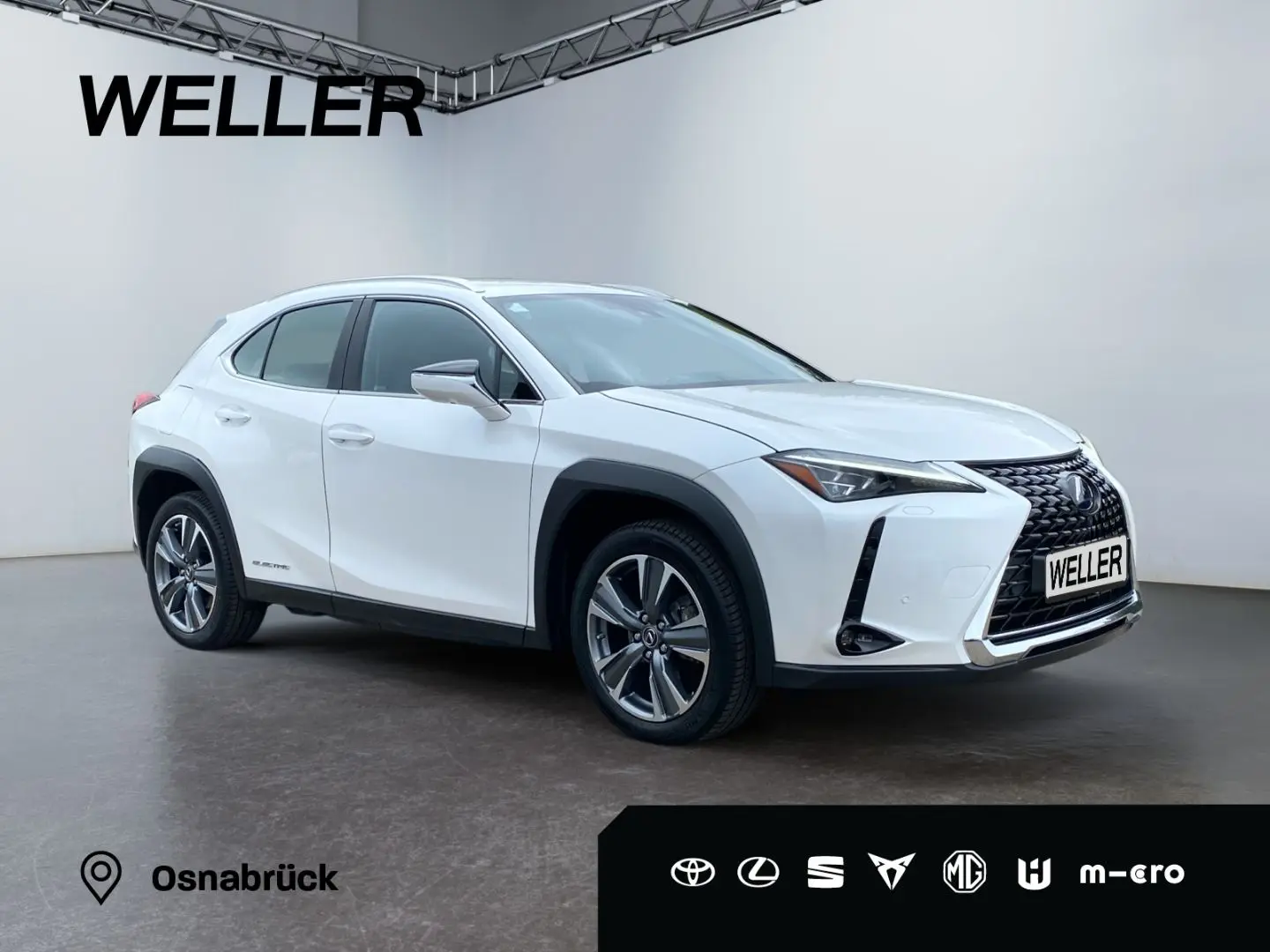 UX 300e *Luxury*Komfort-Plus*Executive Paket*