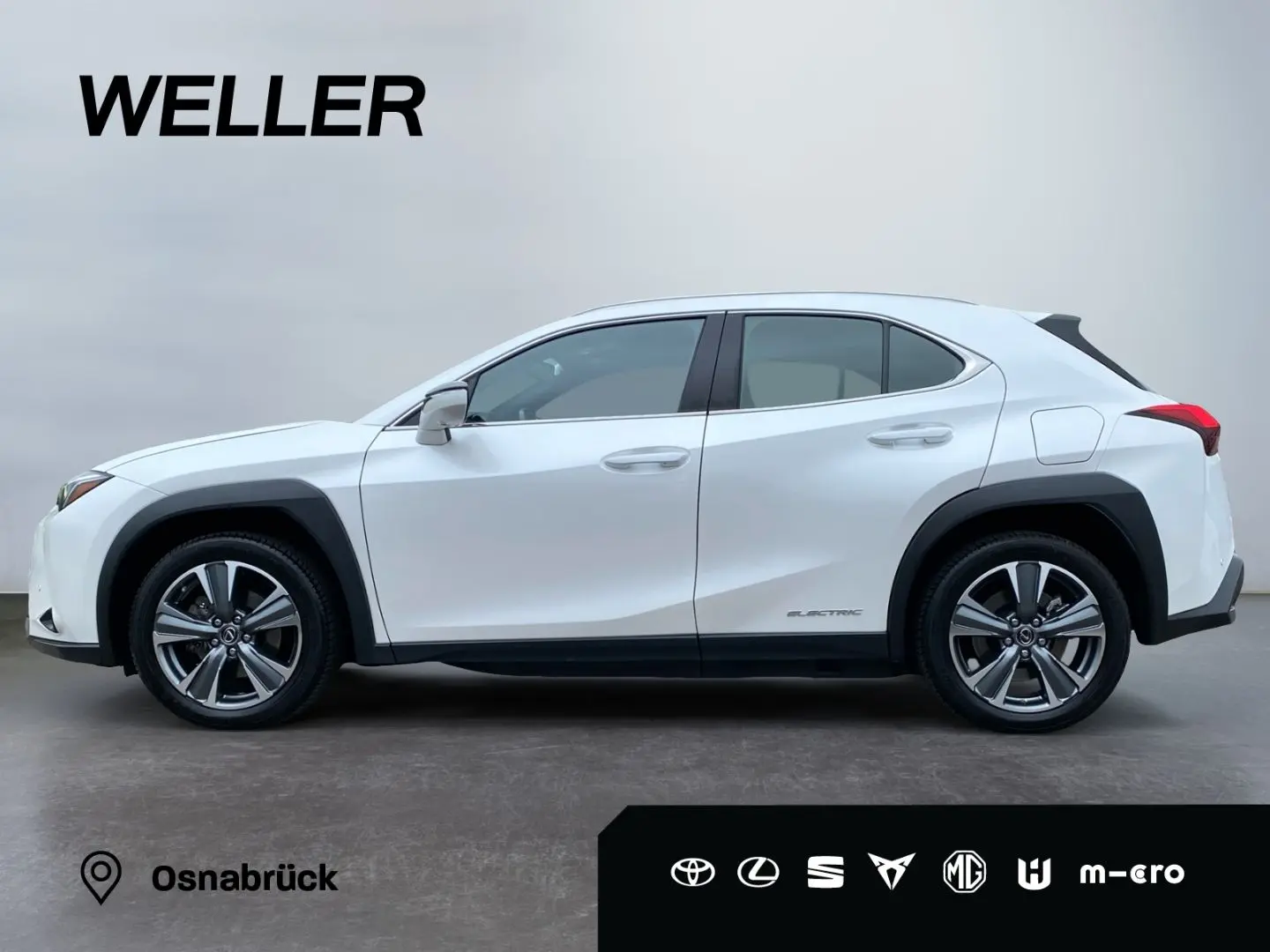 UX 300e *Luxury*Komfort-Plus*Executive Paket*