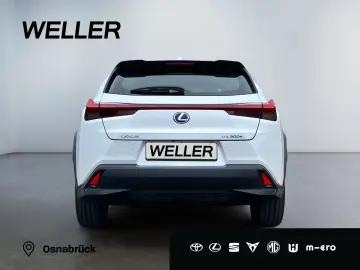 UX 300e *Luxury*Komfort-Plus*Executive Paket*