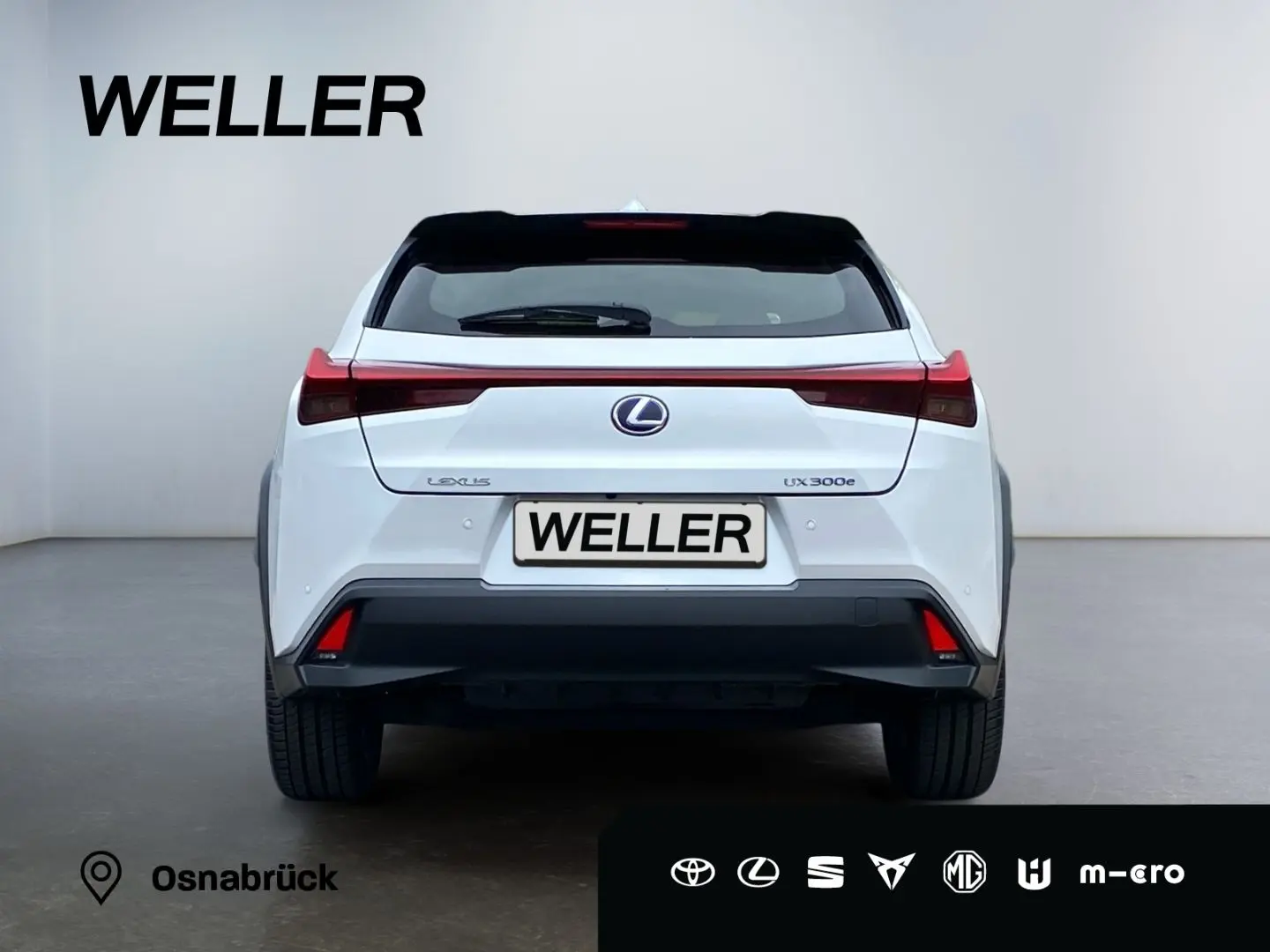UX 300e *Luxury*Komfort-Plus*Executive Paket*