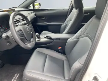 UX 300e *Luxury*Komfort-Plus*Executive Paket*