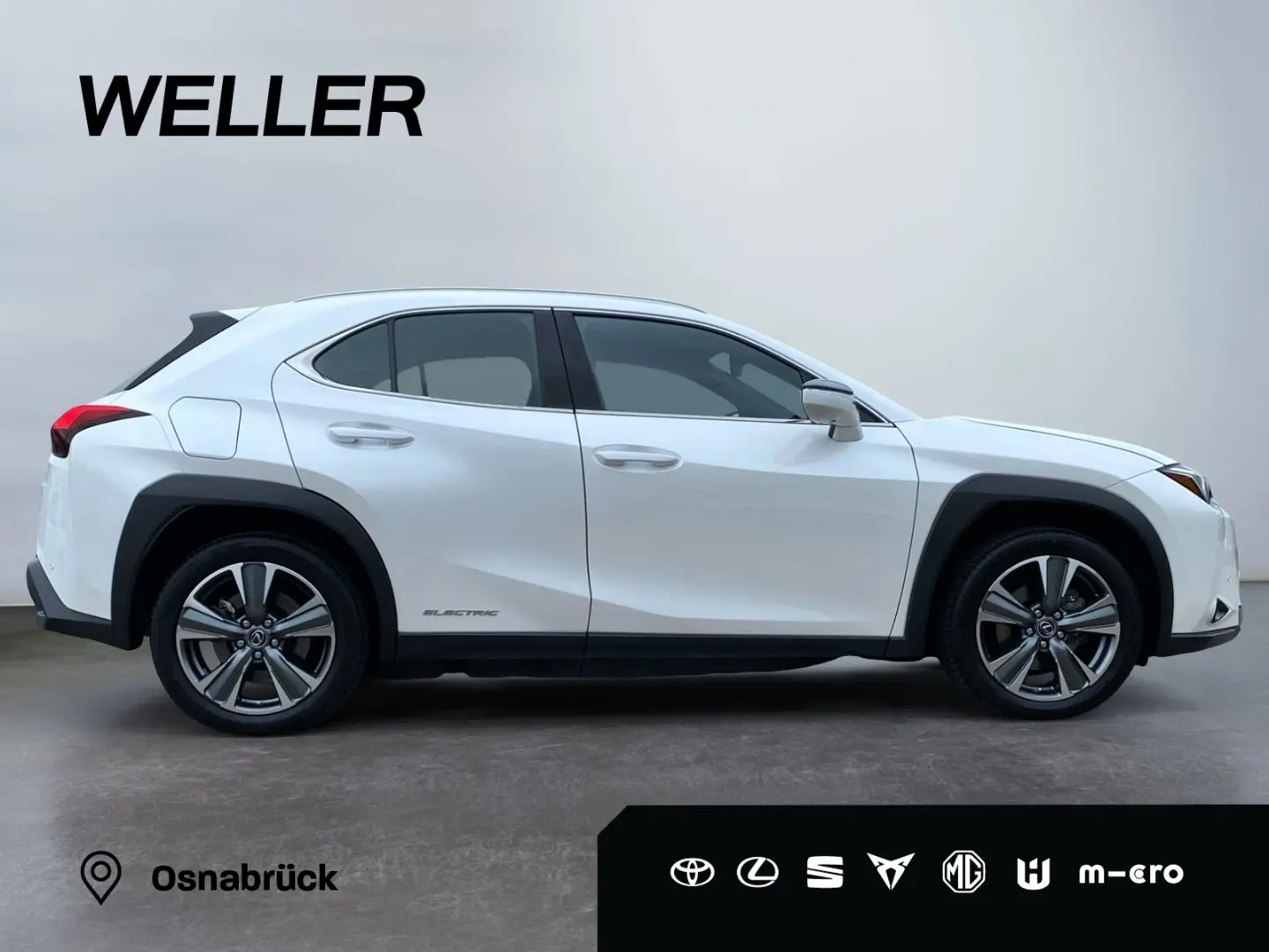 UX 300e *Luxury*Komfort-Plus*Executive Paket*