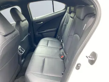 UX 300e *Luxury*Komfort-Plus*Executive Paket*