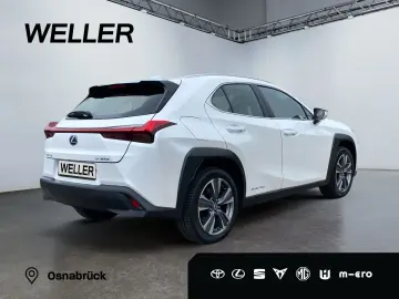 UX 300e *Luxury*Komfort-Plus*Executive Paket*