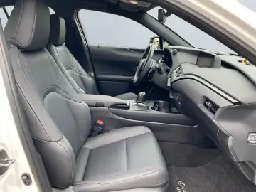 UX 300e *Luxury*Komfort-Plus*Executive Paket*