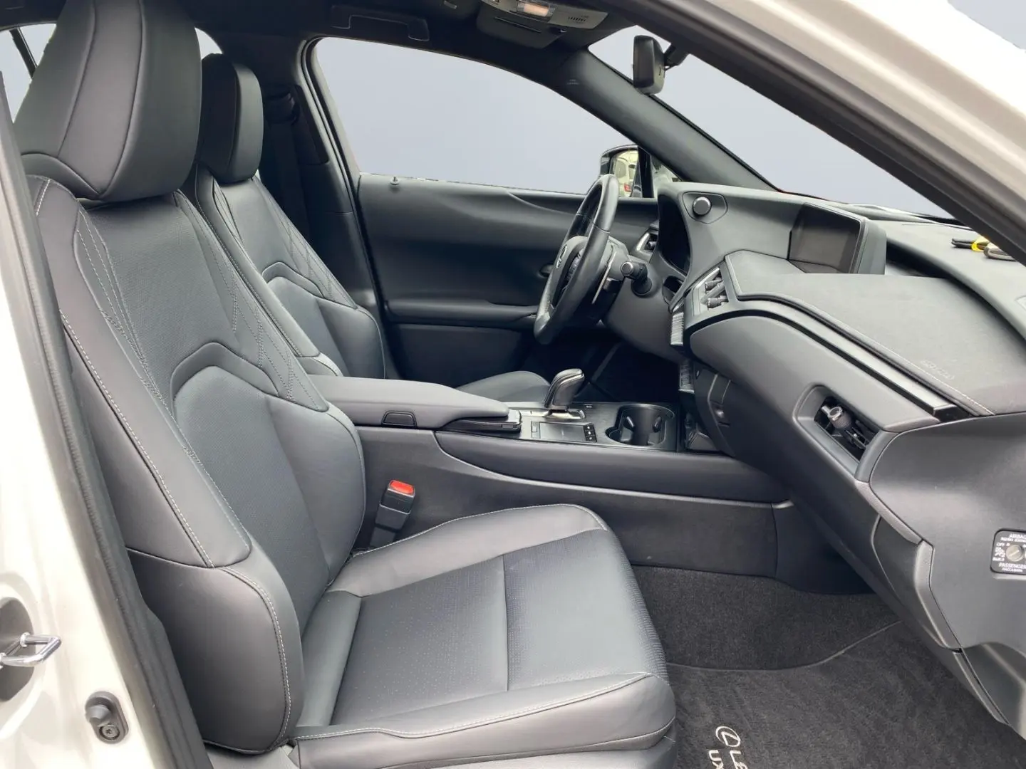 UX 300e *Luxury*Komfort-Plus*Executive Paket*