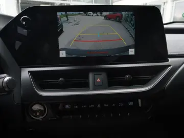 UX 300h F SPORT Design