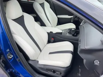 UX 300h F Sport Efour HUD*Schiebedach**MarkLevi