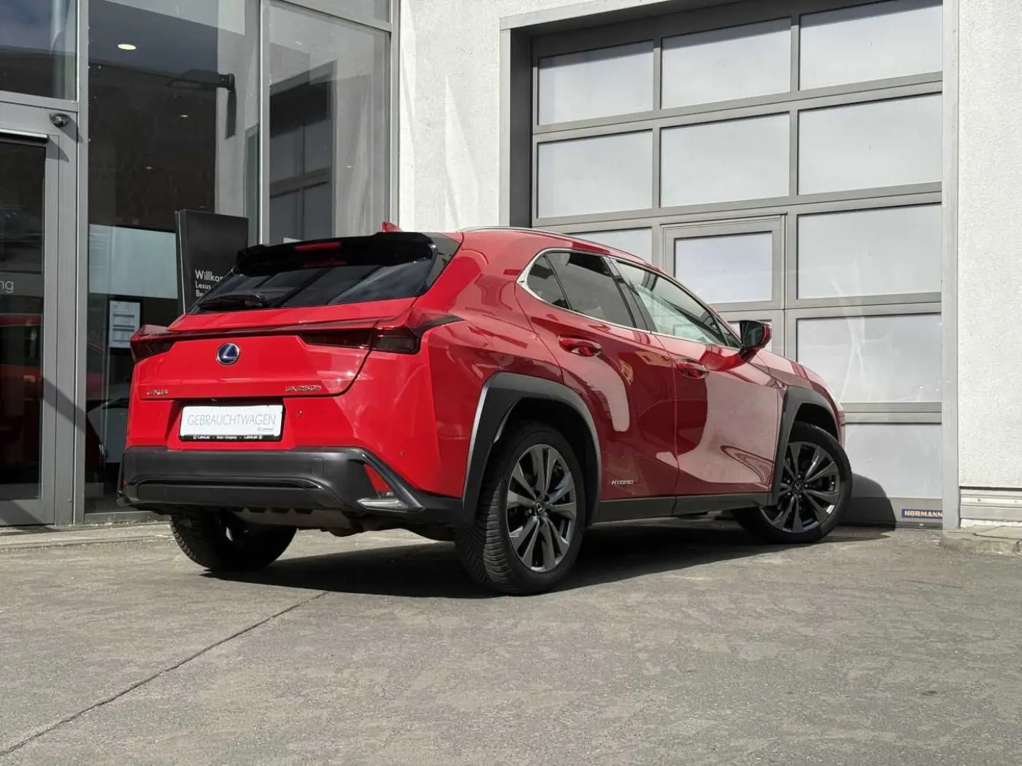 UX250h F SPORT