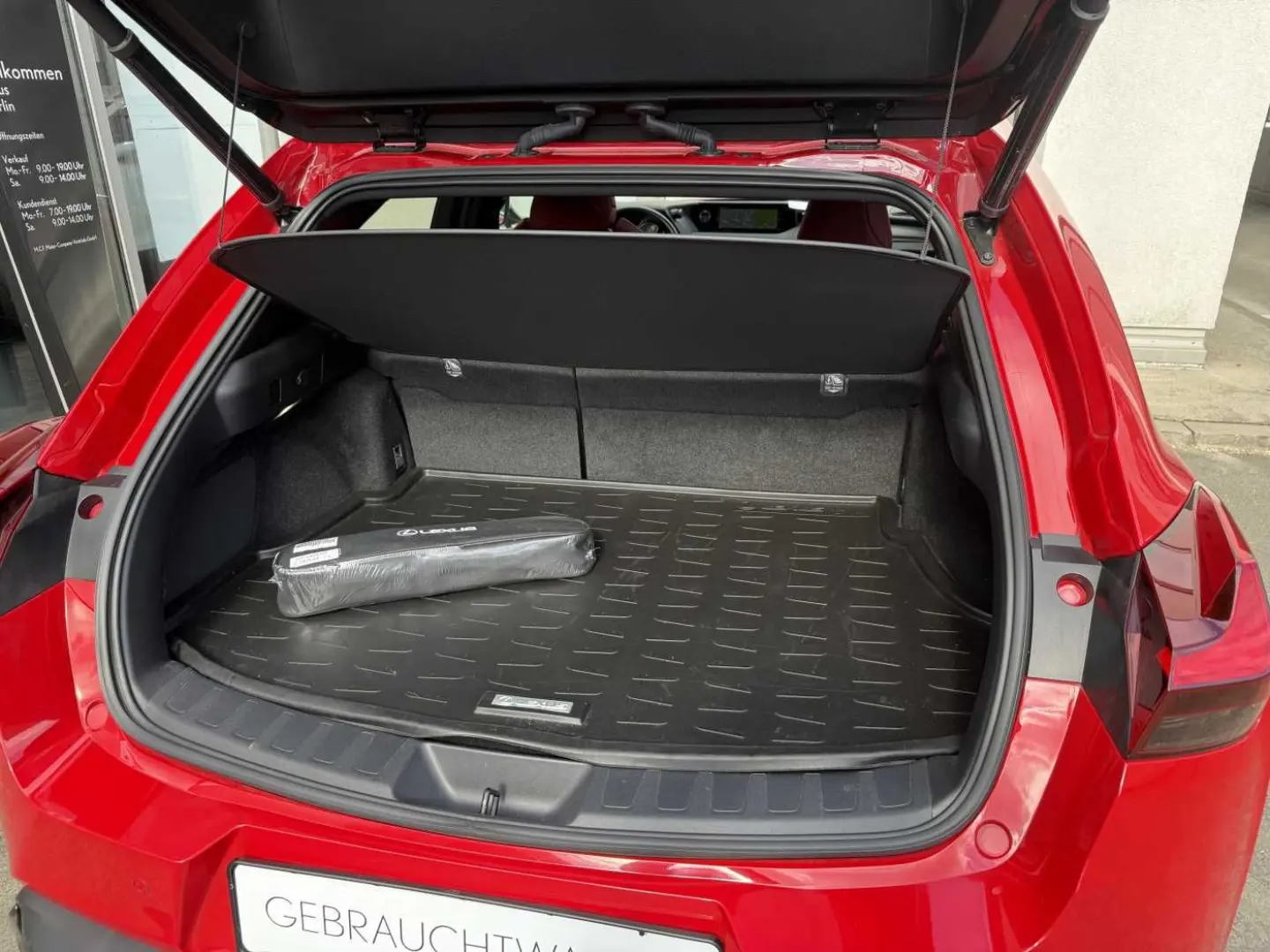UX250h F SPORT