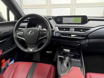 UX250h F SPORT