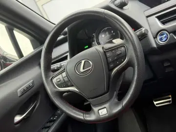 UX250h F SPORT