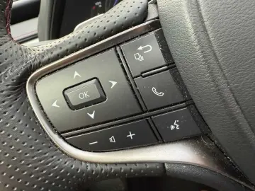 UX250h F SPORT