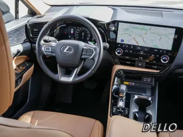 NX 450h + Business Connect Sitzklima MEMORY 360°