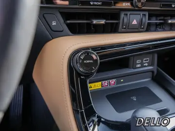 NX 450h + Business Connect Sitzklima MEMORY 360°