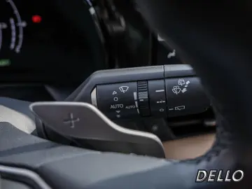 NX 450h + Business Connect Sitzklima MEMORY 360°