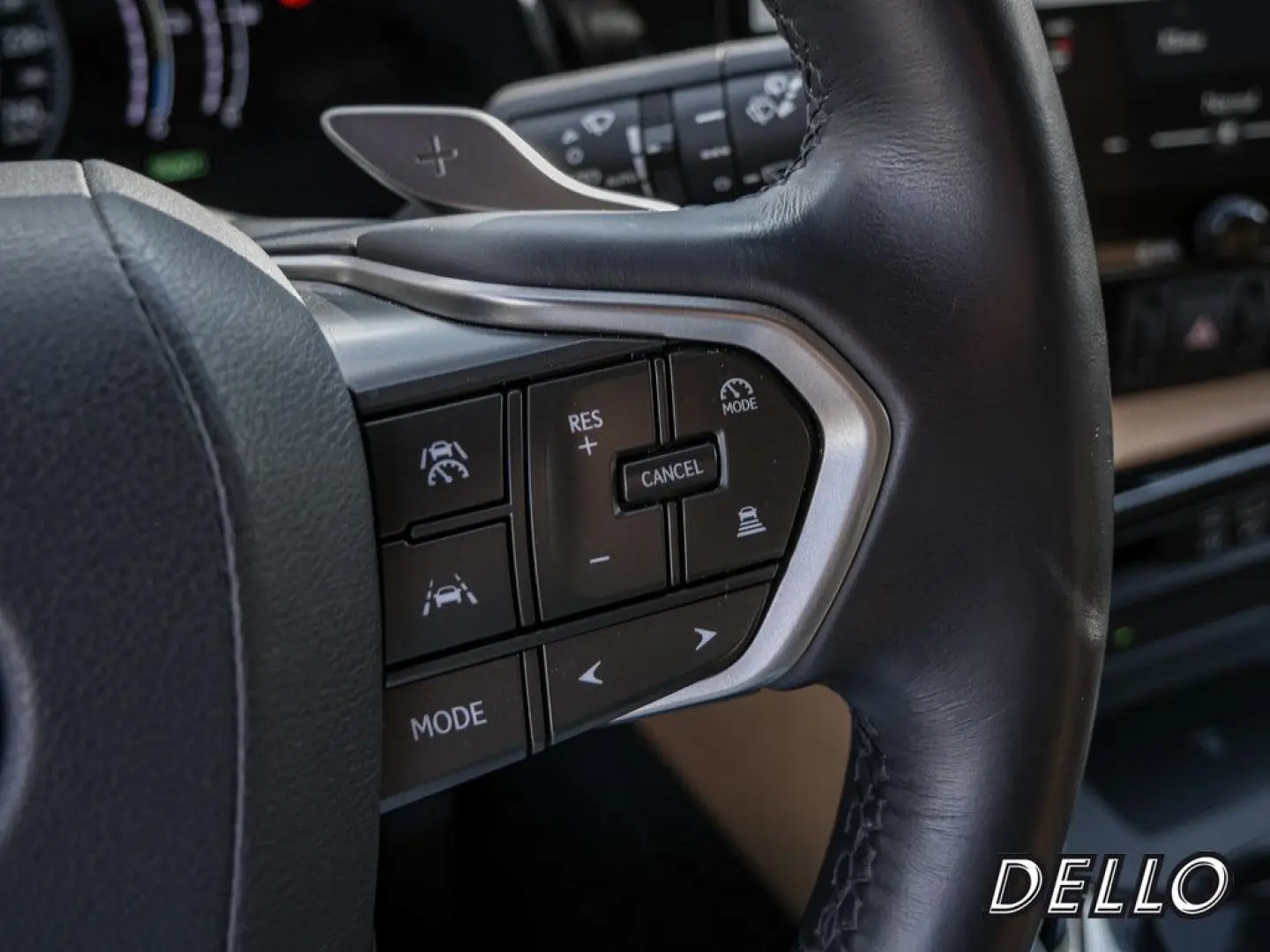 NX 450h + Business Connect Sitzklima MEMORY 360°