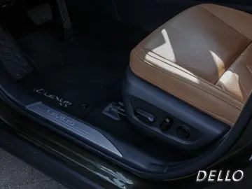 NX 450h + Business Connect Sitzklima MEMORY 360°