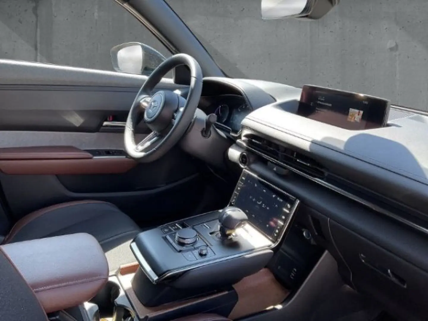 MX-30 R-EV ADVANTAGE IV Kamera Matrix