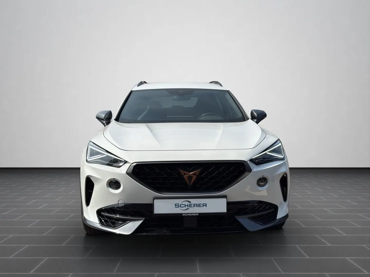 Formentor VZ 2.0 TSI 4Drive NAVI KAMERA ACC