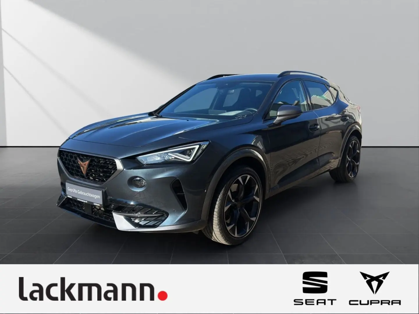 Formentor 2.0 TSI VZ 4Drive *Navi*LED*Winter*ACC