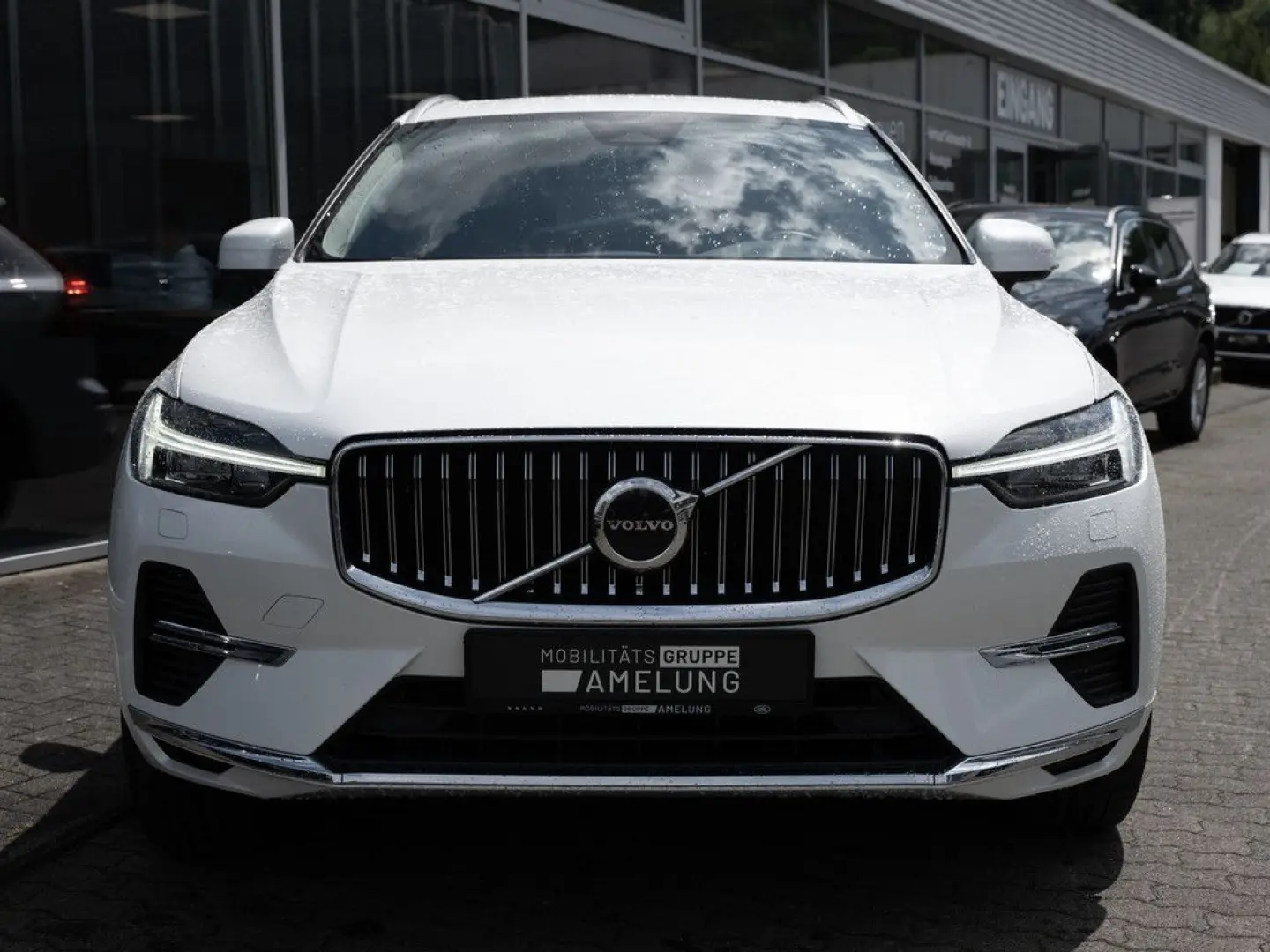 XC60 T6 Recharge Inscription Expression AWD PANO