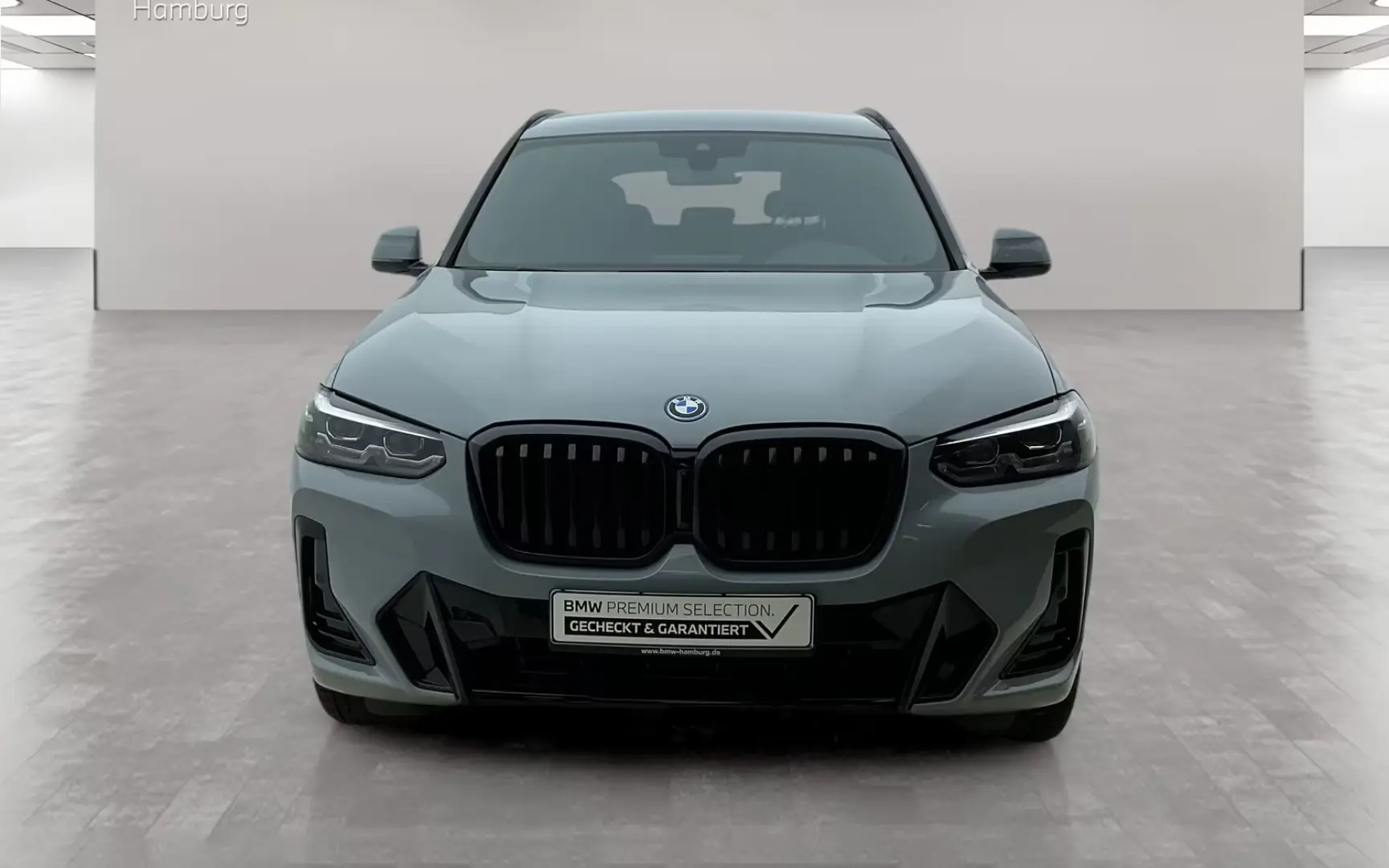 X3 xDrive30e M Sport Navi AHK Kamera HiFi LED