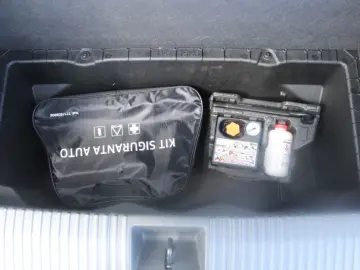 RENAULT SCENIC esprit Alpine 220 cp autonomie extinsa