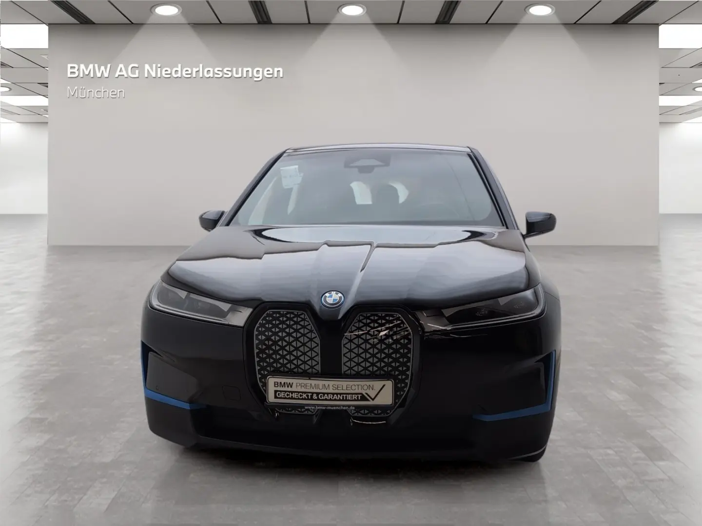 iX xDrive40 Kamera Pano.Dach Sky Drive&Park Assi