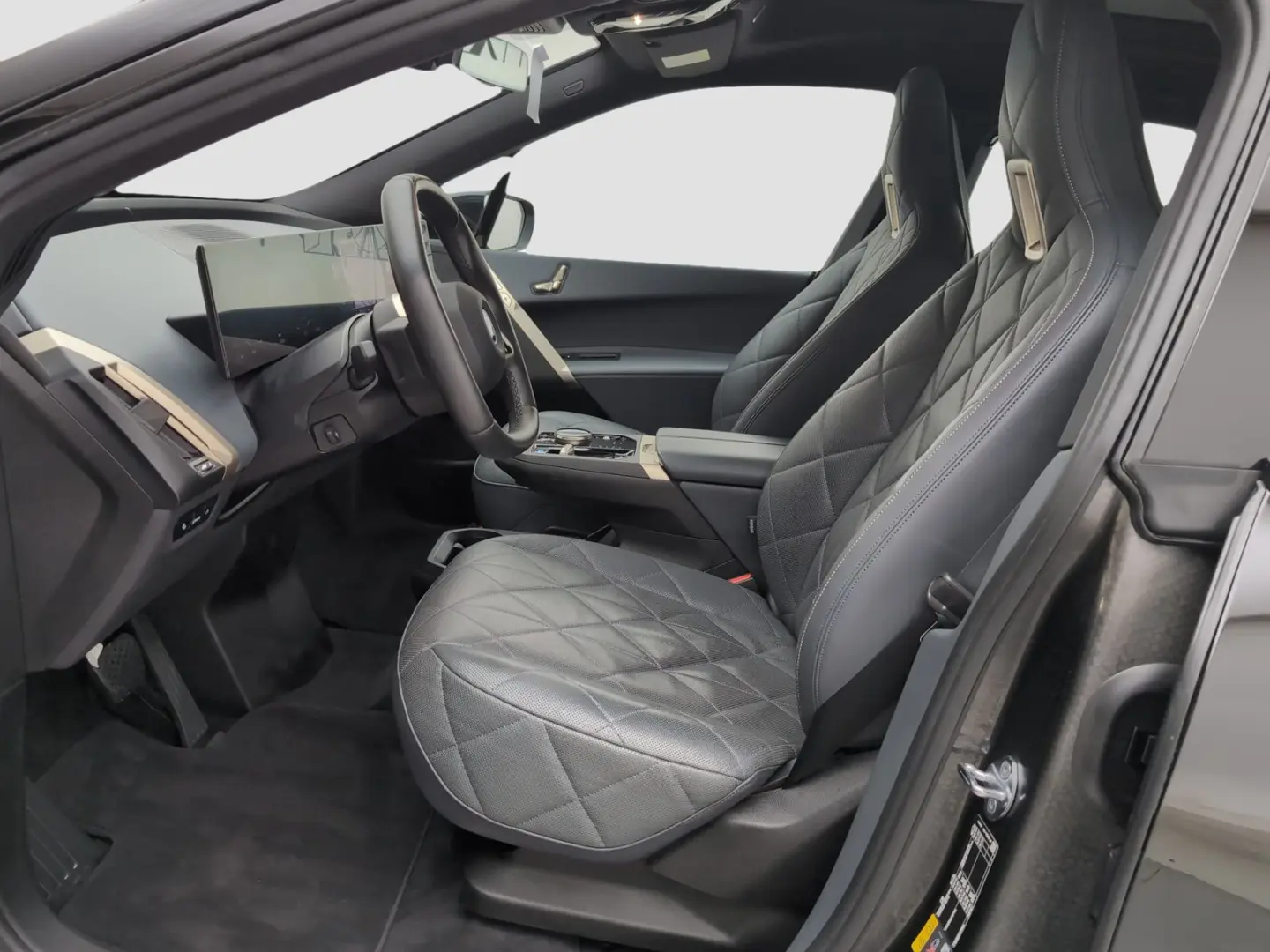 iX xDrive40 Kamera Pano.Dach Sky Drive&Park Assi