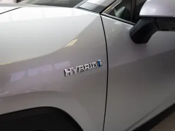 Toyota RAV 4, Hibrid, 4x4, LED, Piele, Camera