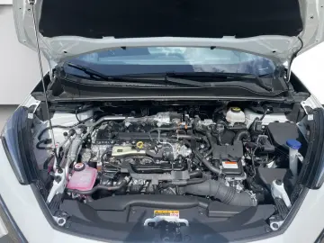 C-HR 2.0 Plug-in Hybrid Team