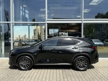 NX 350h Executive Line*Technologie-Paket/Pano.*