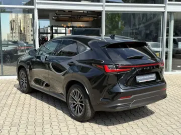 NX 350h Executive Line*Technologie-Paket/Pano.*