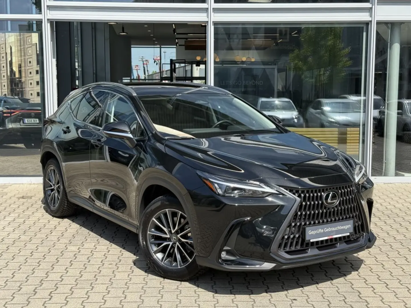 NX 350h Executive Line*Technologie-Paket/Pano.*