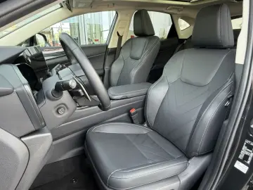 NX 350h Executive Line*Technologie-Paket/Pano.*