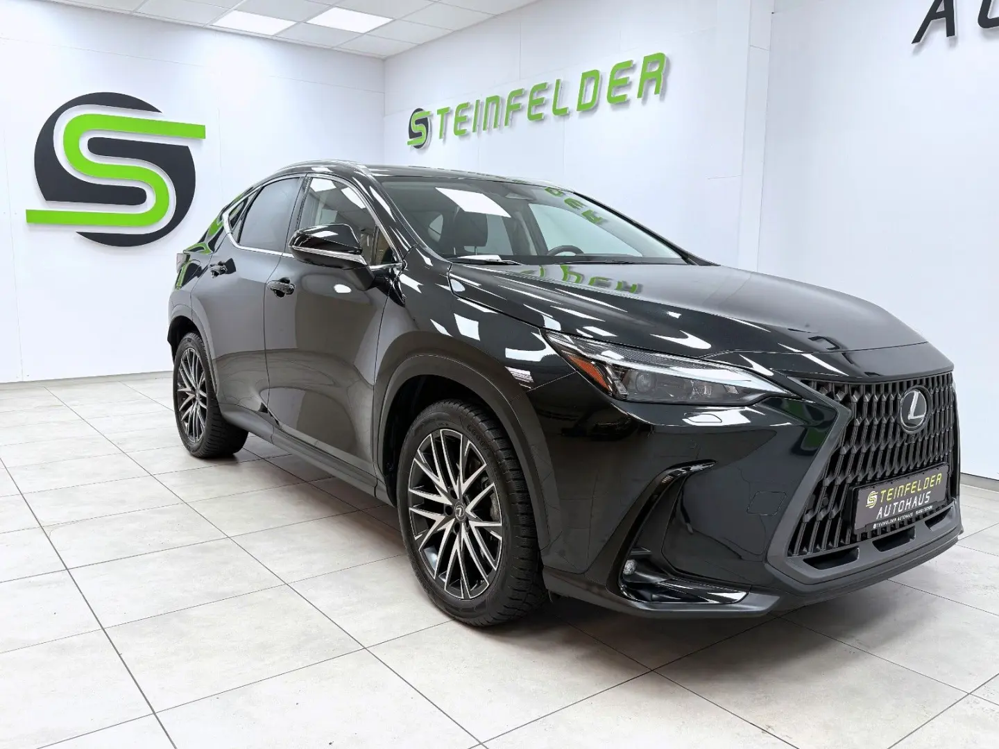 NX 450 h+ E-Four Executive Line / 360° / MEMORY