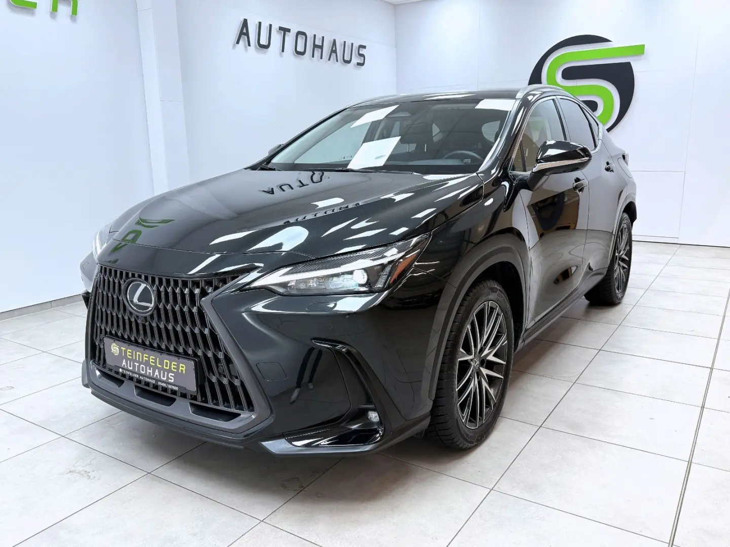 NX 450 h+ E-Four Executive Line / 360° / MEMORY