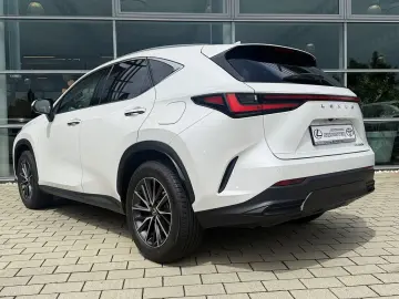 NX 350h Executive Line