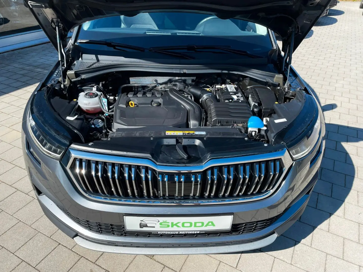 Kodiaq Style LED AHK DAB ACC Kam. Navi