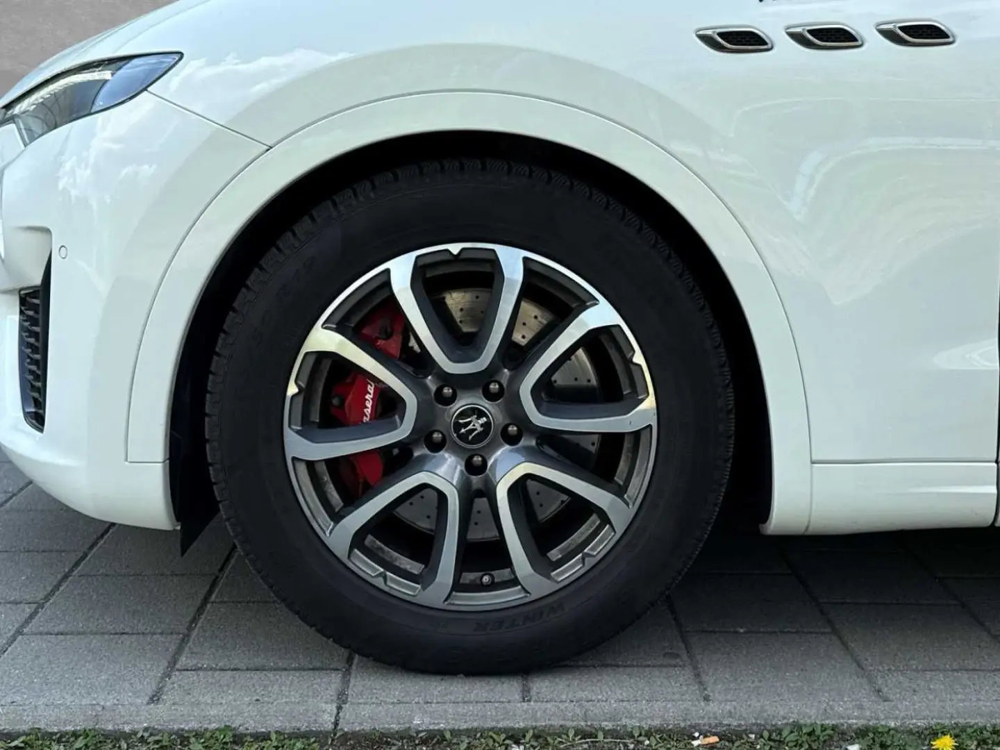 Levante Modena - Maserati Regensburg
