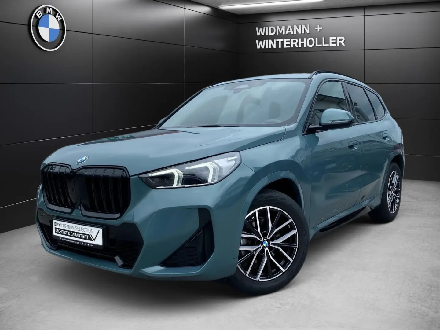 X1 sDrive18i M Sport DA+ PA+ HUD Komfzg SHZ LRH