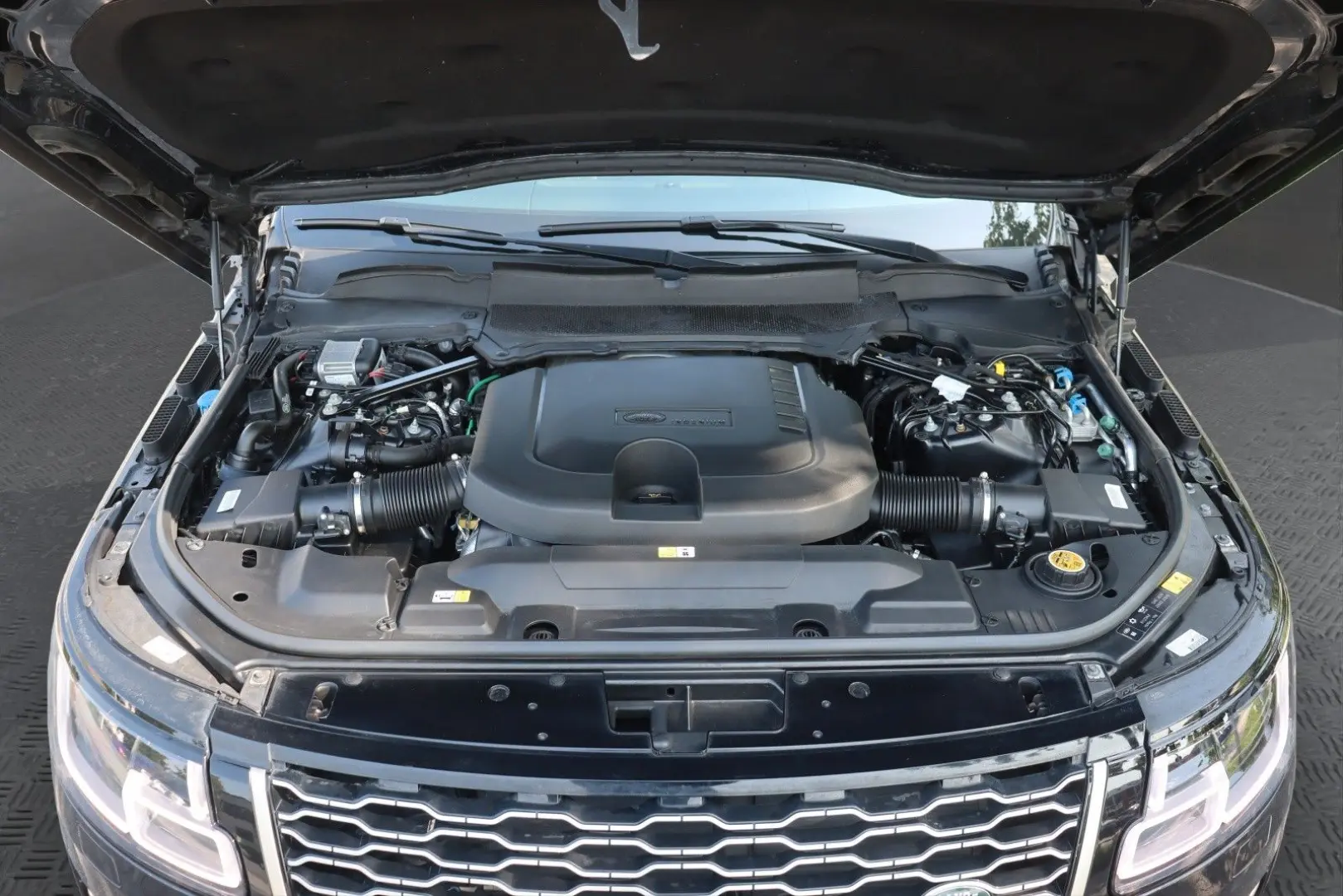 Range D350 AUTOB.FIFTY*VOLL*PIXEL*22