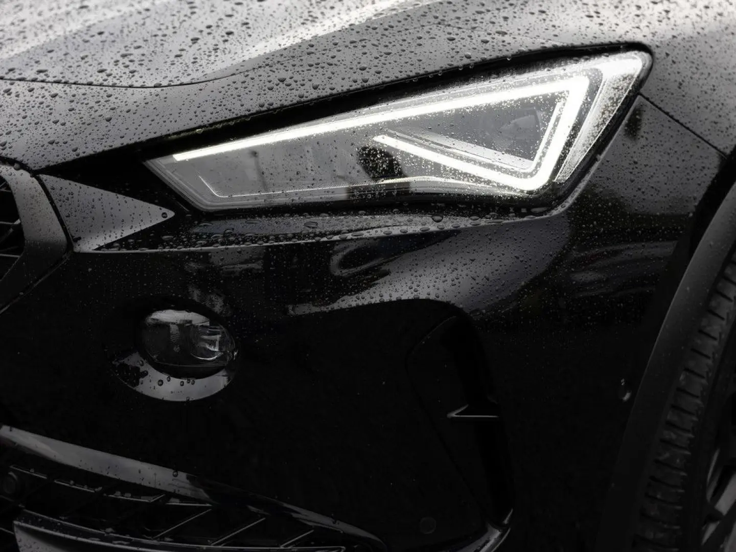 Formentor 2.0 TSI VZ Tribe Edition 4Drive PANO