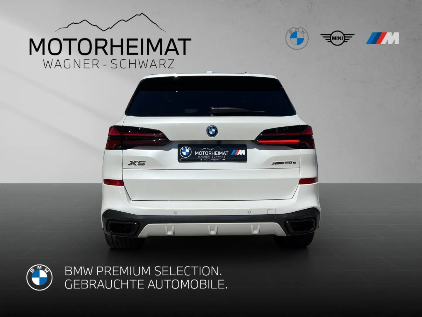 X5 xDrive50e M Sport Pro 22