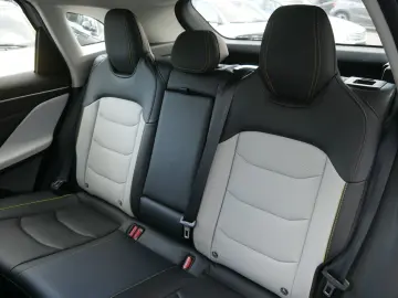 X55 Luxury Aut. LEDER/360°KAMERA/ACC/LED/S-HEIZU