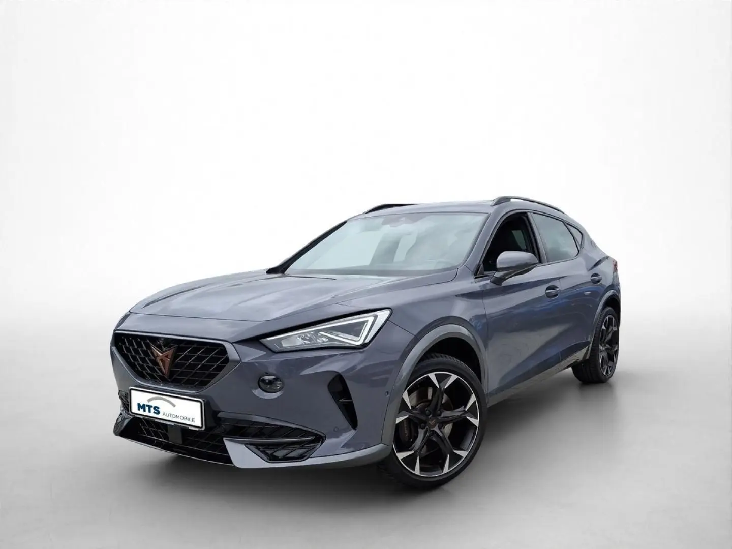 FORMENTOR 2.0 TSI VZ 4Drive 310PS Navi LED Pano