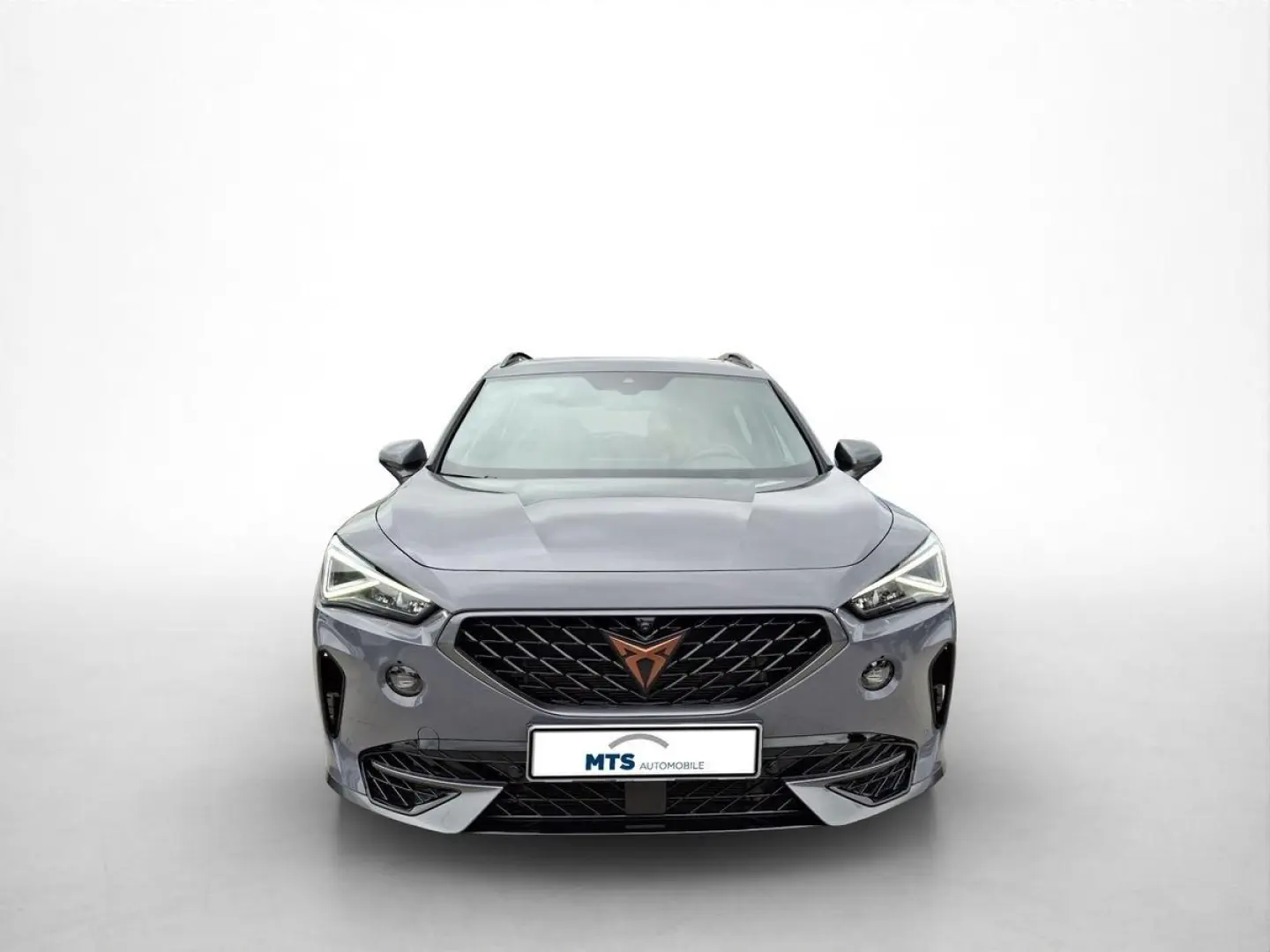 FORMENTOR 2.0 TSI VZ 4Drive 310PS Navi LED Pano